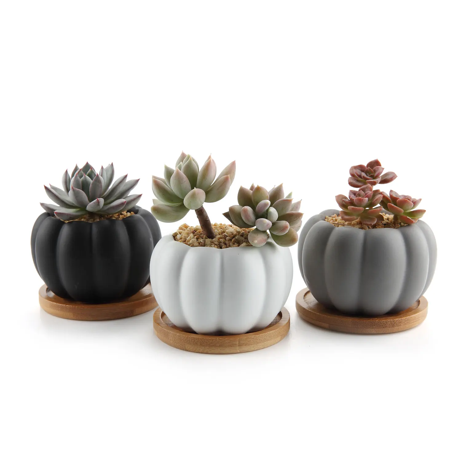 

T4U 3.3 Inch Ceramic Modern Pumpkin Design Succulent Cactus Plant Pot Container with Bamboo Tray - Full Color Set of 3