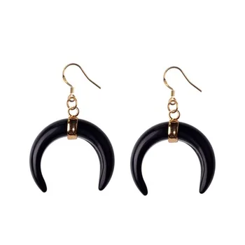 New natural stone rhinoceros horn black agate i ivory earrings healing style mood fashion men and women jewelry