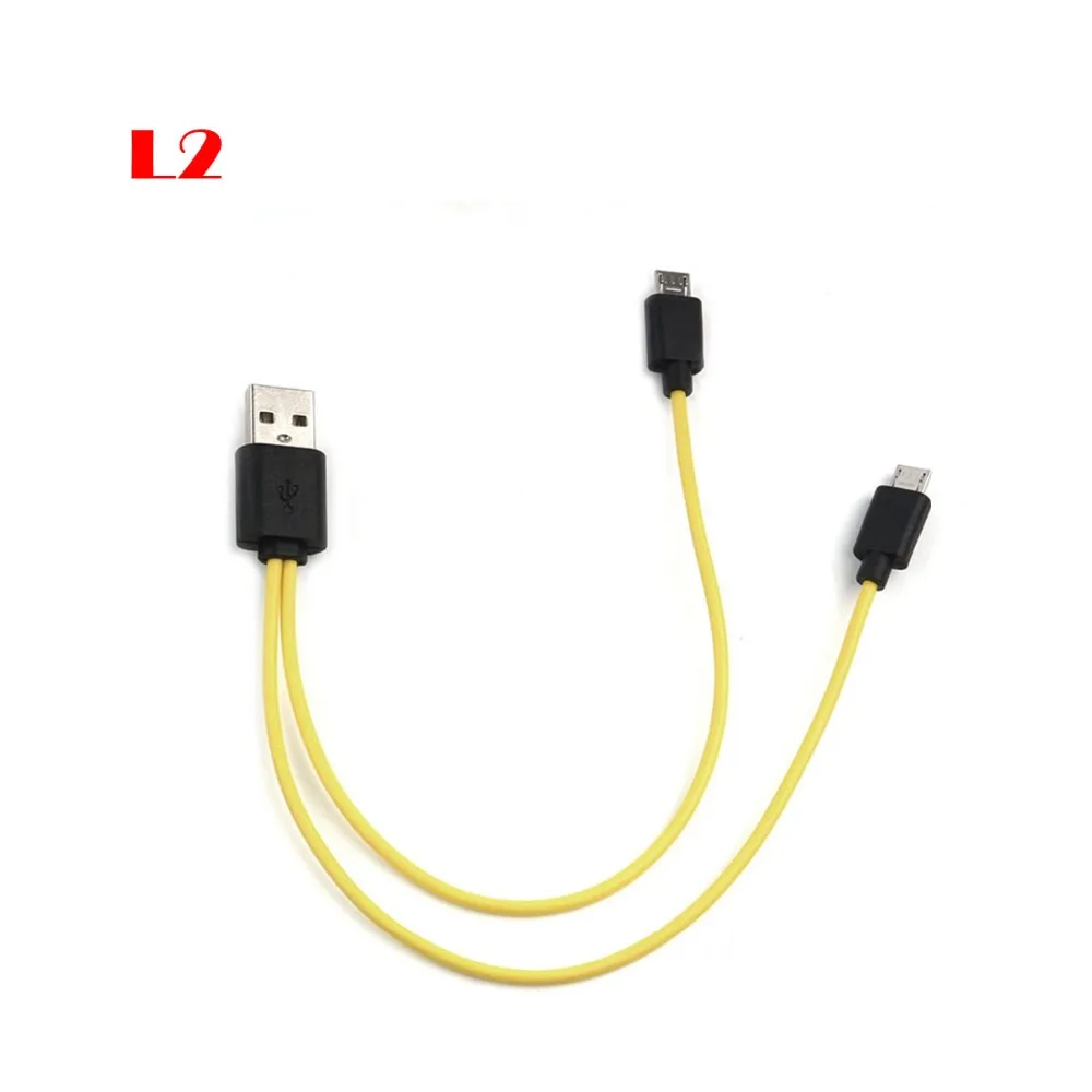 L2