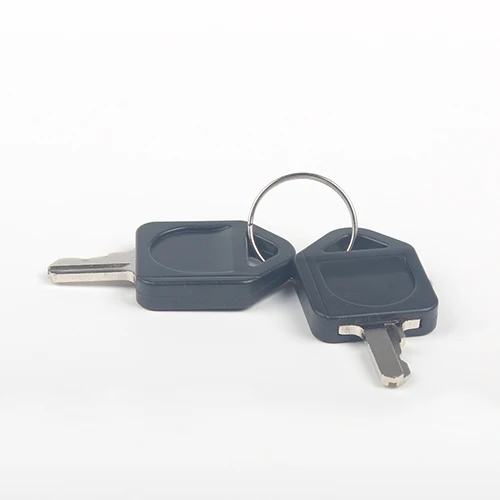 Extra key-1 pairs 19 мм латунный хромированный ключ металлический водонепроницаемый латунный 2/3 положения кнопочный переключатель 1NO1NC/2NO2NC Мгновенный/фиксация 3/6 штифтов - Цвет: Extra key-1 pairs