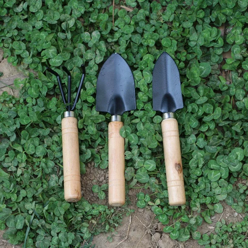 

3pcs Mini Gardening Plant Pot Gardening Tools Small Durable Shovel Rake Spade --M25