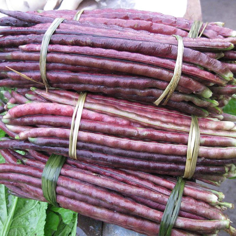 Free Shipping 20 Long Pole Bean Seeds, Purple color, Asparagus Beans