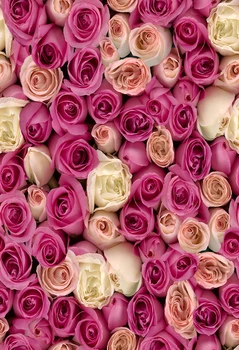 

5X7ft Thin Vinyl photography background Customize flowers Backdrops Digital Printing Background for photo Studio F-1111