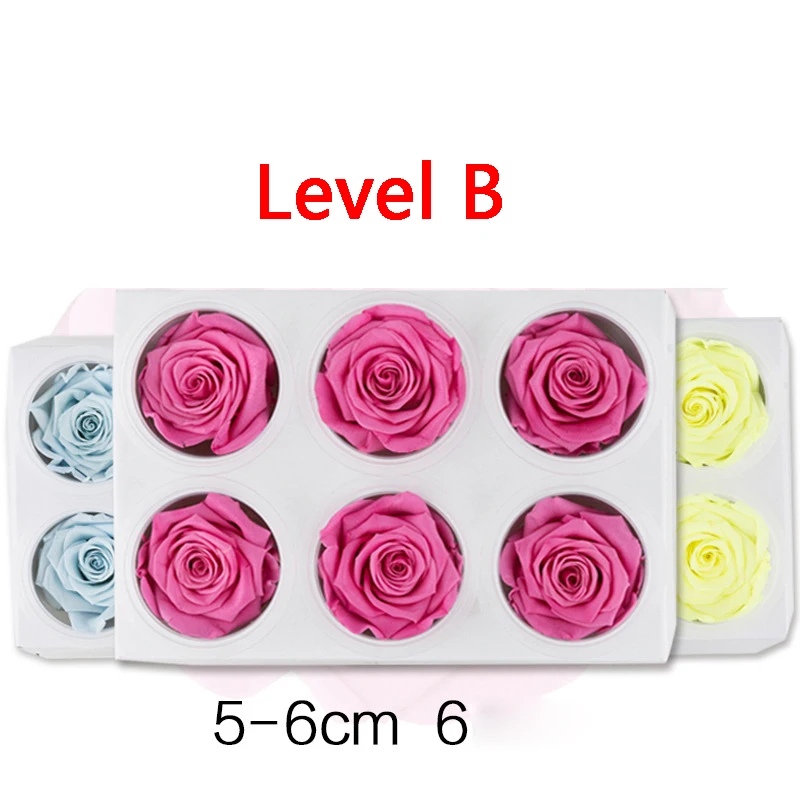 

Preserved Rose Flowers Immortal Rose 5-6CM Diameter Mothers Day DIY Wedding Eternal Life Flower Material Gift 6pcs/Box Level B