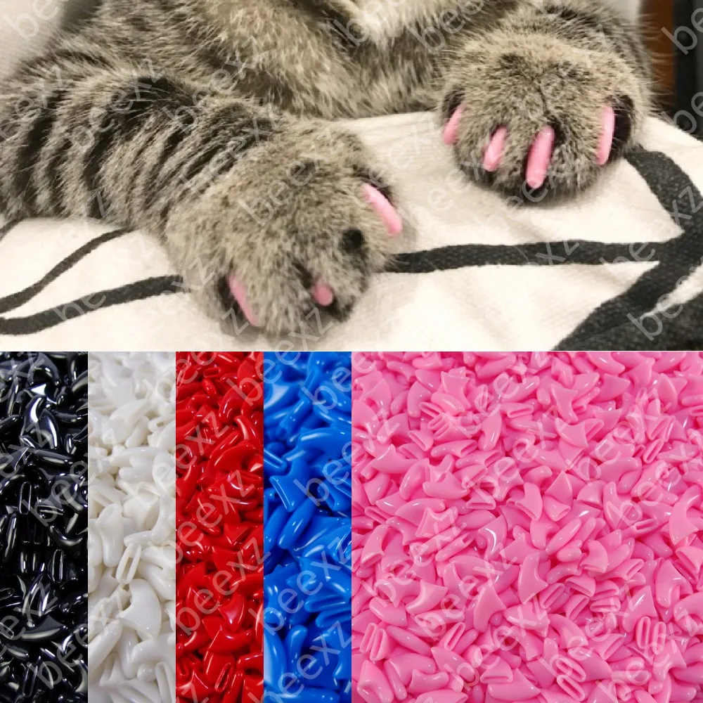aliexpress-beexz-cat-201810