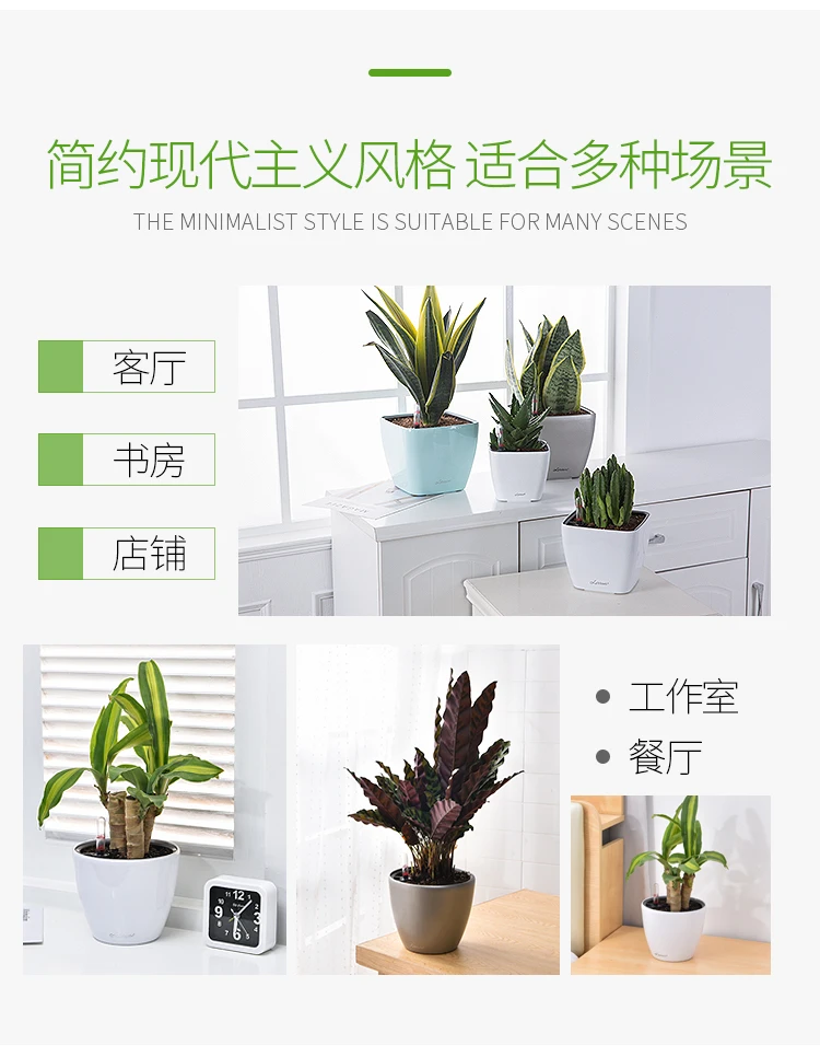 Desk Square Round Green Rose Succulent Plant Lazy Flowerpot Trumpet Automatic Water Absorption Flowerpot Plastic