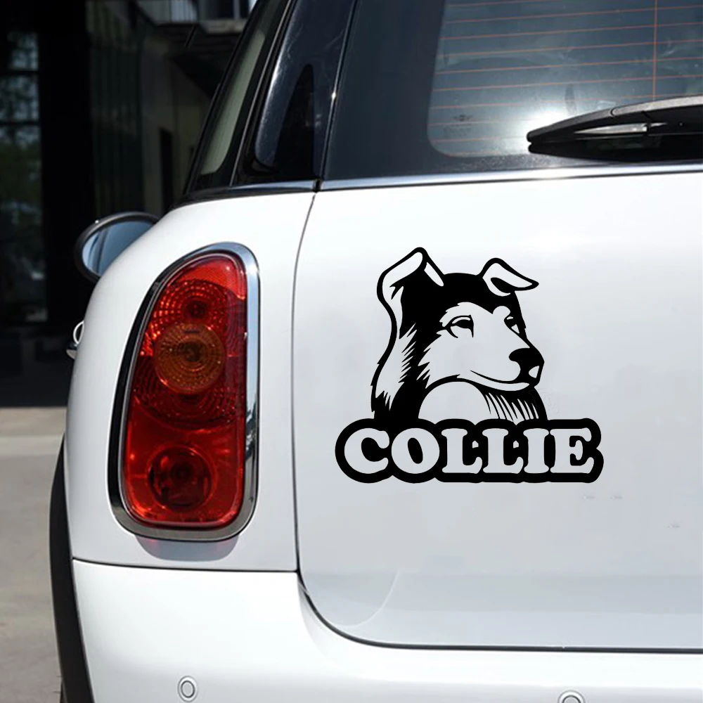 14.4*12.7cm Collie Cute Dog Car Animals Stickers High Quality Vinyl Decals Motorcycle Car Styling Car Accessories 14.4*12.7cm Collie Cute Dog Car Animals Stickers High Quality Vinyl Decals Motorcycle Car Styling Car Accessories