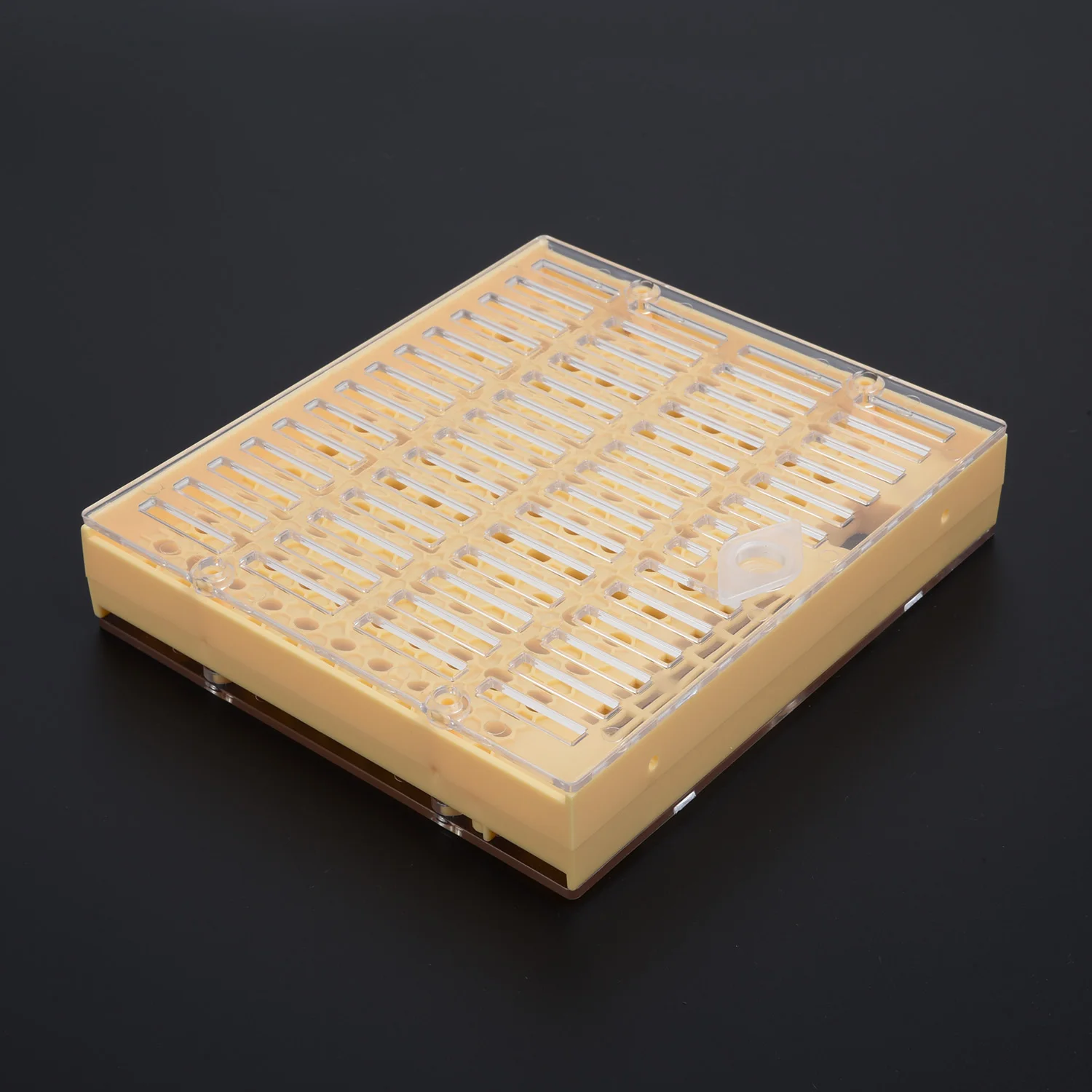 

Holders Beekeeping Suit Kit Accessories Cupkit Box Hair Cage Cell 441pcs Plastic Queen Rearing Useful Reliable