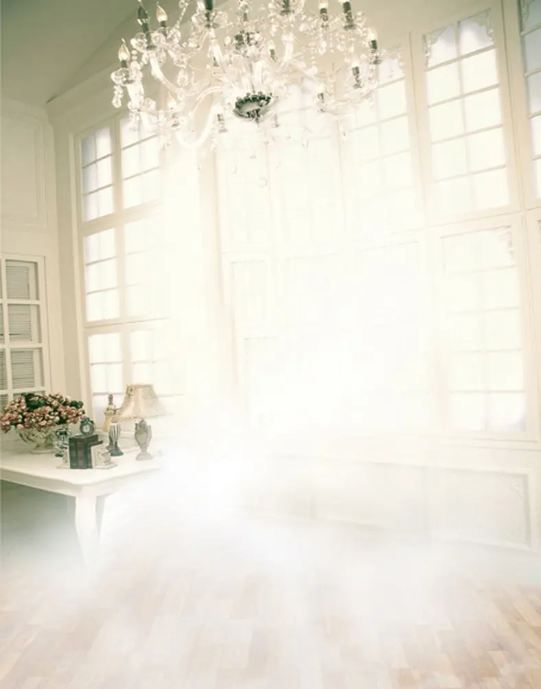 

Фон для фотосъемки в гостиной с изображением солнечного света 5 х7 футов