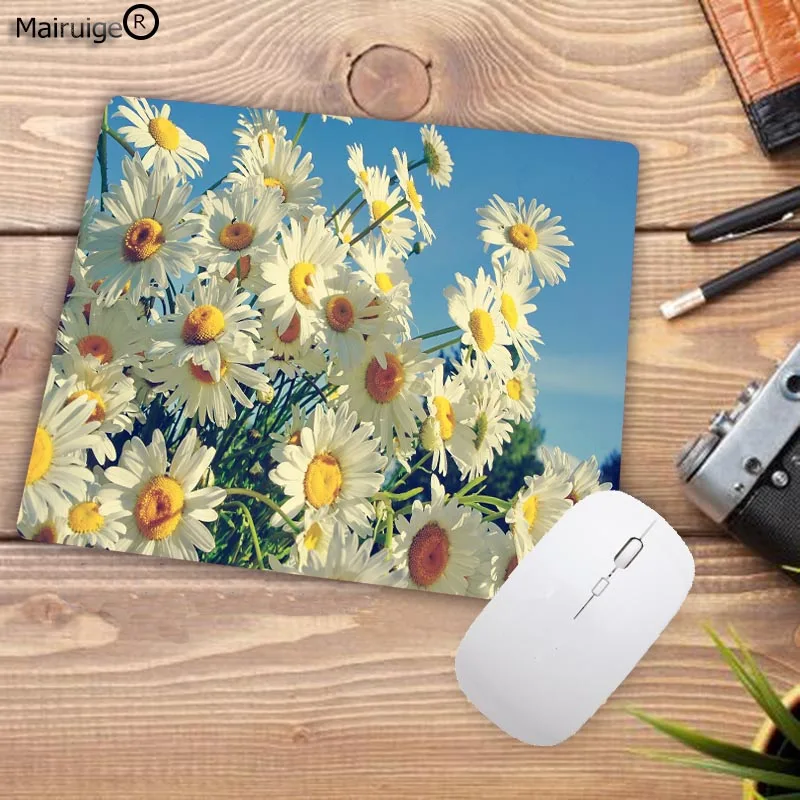 364daisy-background-2560x1600-for-WTG2001219