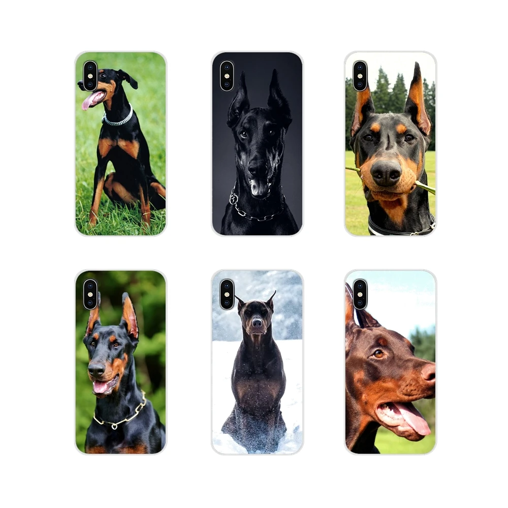dirt customs doberman