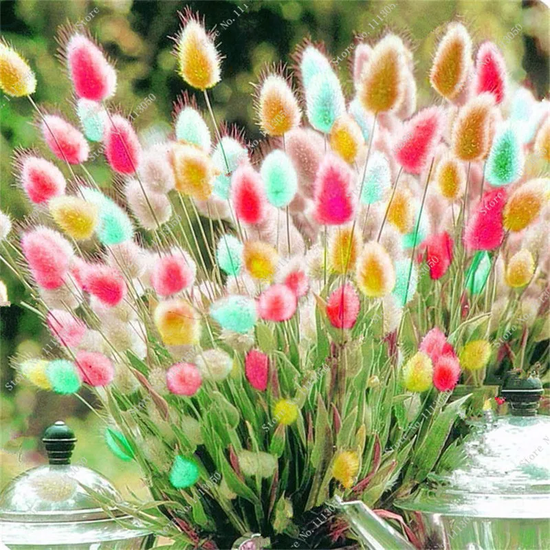 Online Get Cheap Potted Plants Alibaba Group