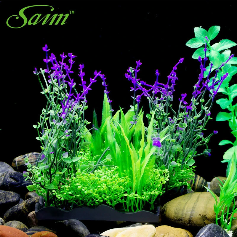 flowering aquarium plants