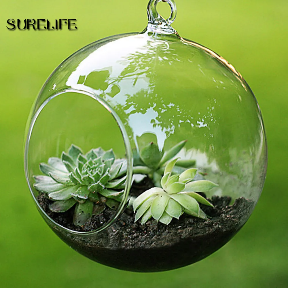 

6pcs Terrarium Ball Clear Hanging Glass Vase Flower Plants Container Micro Landscape DIY Wedding Candle Holder Candlestick