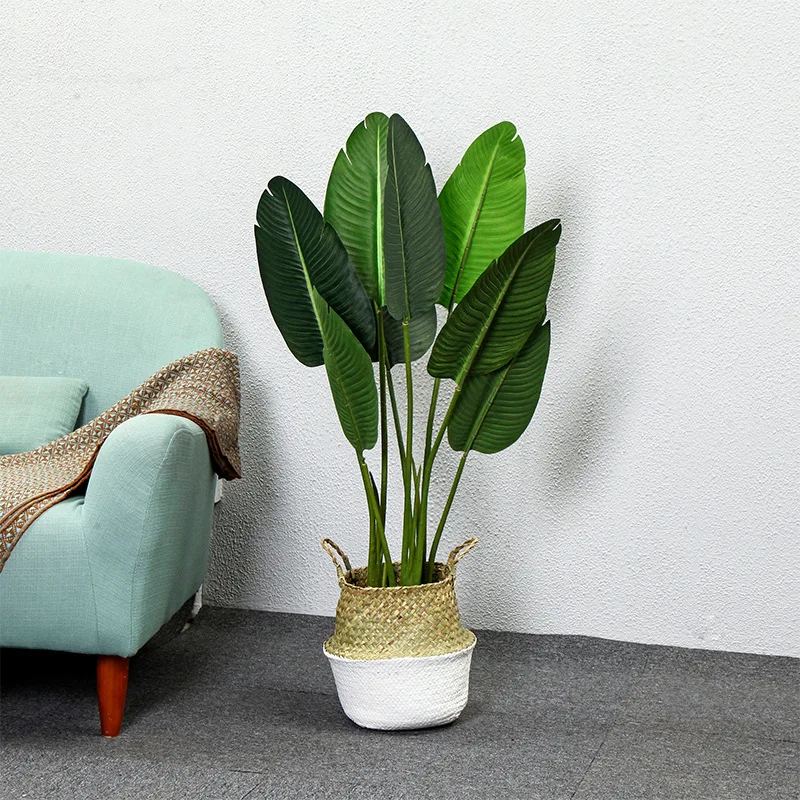 Nordic Style Artificial Plant 1 2m 1 6m Traveler Banana Turtle Harpsichord Leaf Indoor Living Room Large Greenery Faux Plants Artificial Plants Aliexpress Nordic Style Artificial Plant 1 2m 1 6m Traveler Banana Turtle Harpsichord Leaf Indoor Living Room Large Greenery Faux Plants Artificial Plants Aliexpress