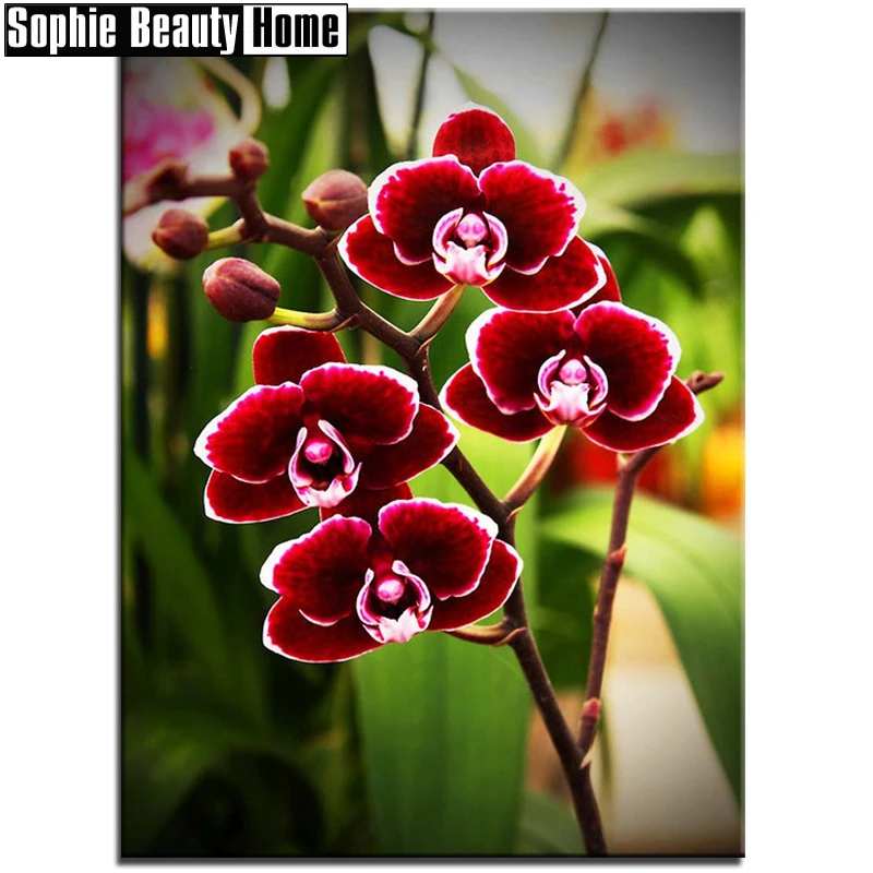 

rhinestones embroidery diamond painting flowers orchid diamond embroidery diamond painting orchid embroidery rhinestones