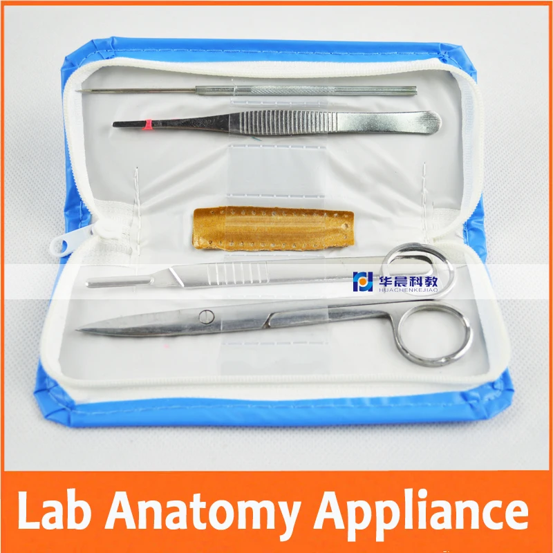 10 Bags Educational Student Biological Anatomy Appliance Lab Laboratory