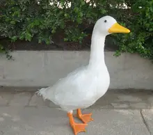 big Simulation geese toy polyethylene&furs white geese model gift about 45*20*55cm y0086