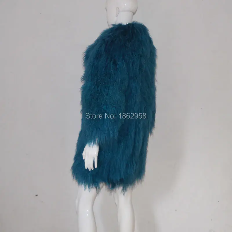 SJ069 (6)