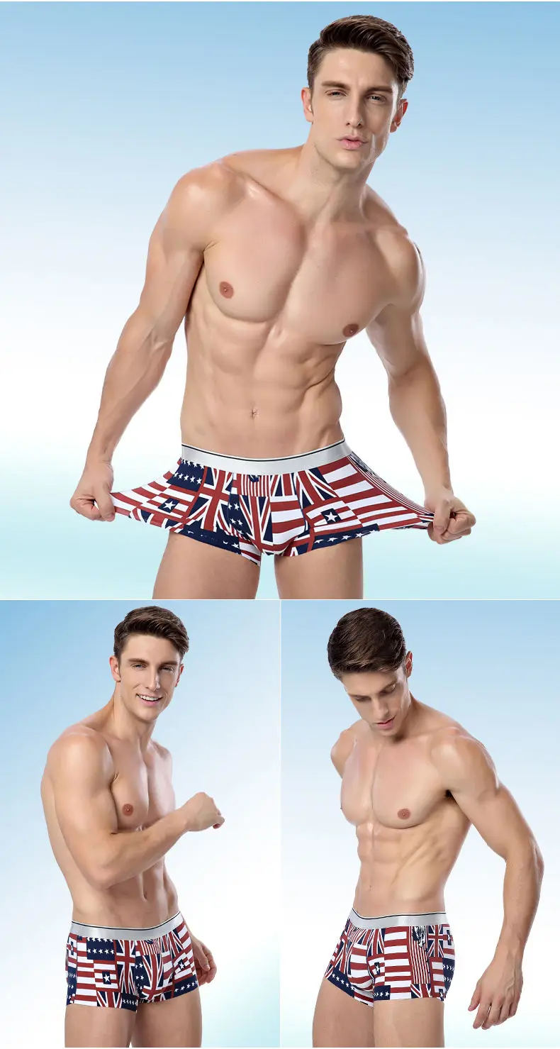 4PCS Lot Mens underwear ice breathable male boxers short print Mens bodysuit under pant Nylon Spandex Fit Size L-2XL Muls Brand-06