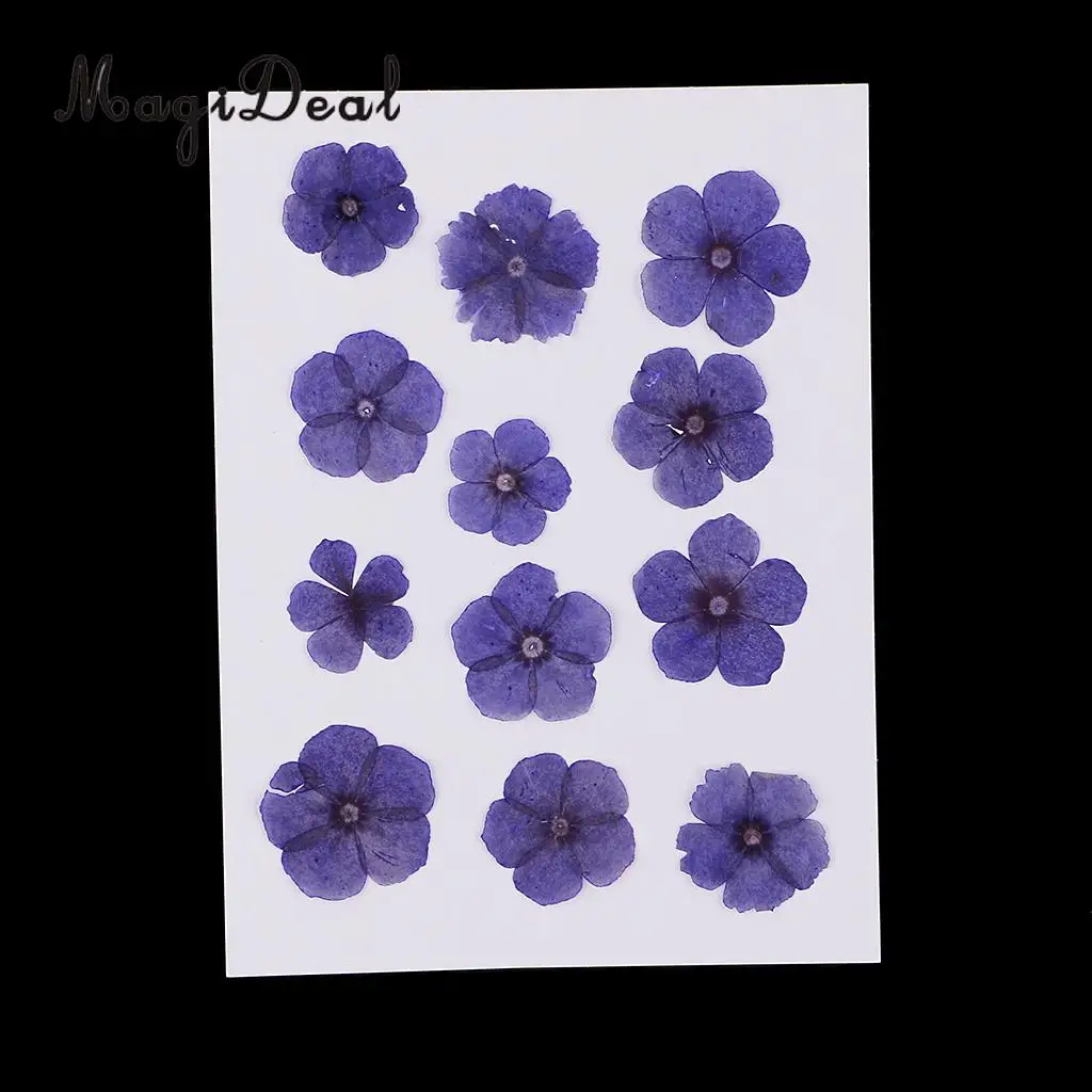 12 Pieces Natural Dried Flowers Real Flower Amaranthus for Kids Craft Card Making DIY Pendants Charms Jewelry