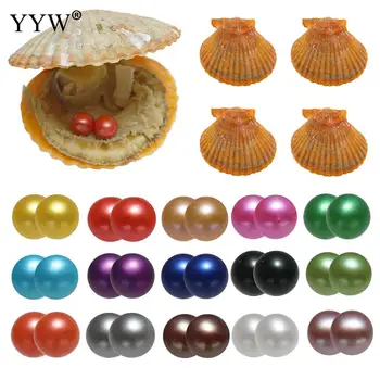 

15pc Vacuum-Packed Akoya Cultured Sea Pearl Oyster with 7-8mm Pearl Beads Twins Wish Pearl Oyster Mixed Colors DIY Birthday Gift