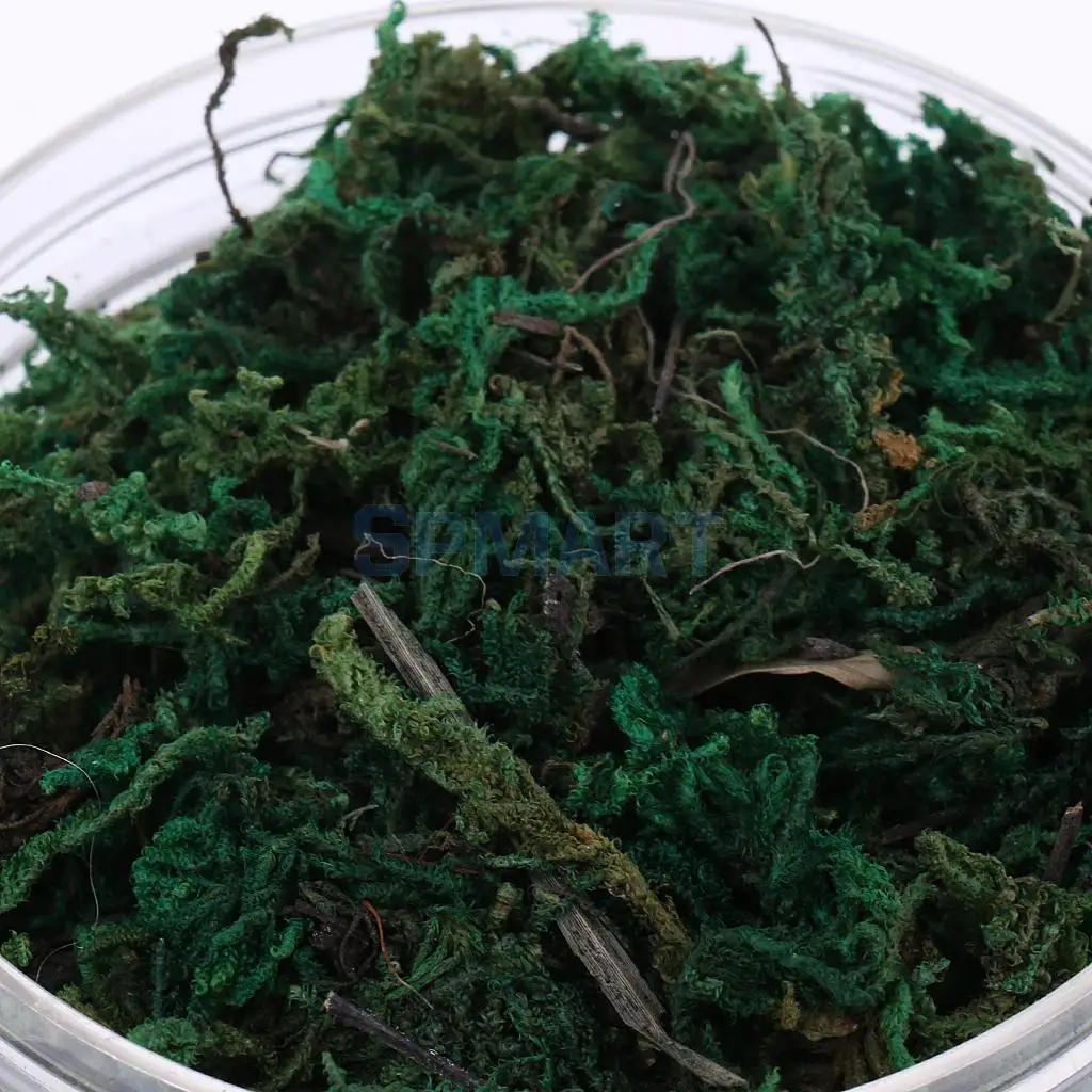 100ML/500ML Dry Grass Model Moss for Layout Terrain Vegetation Diorama Building Toy