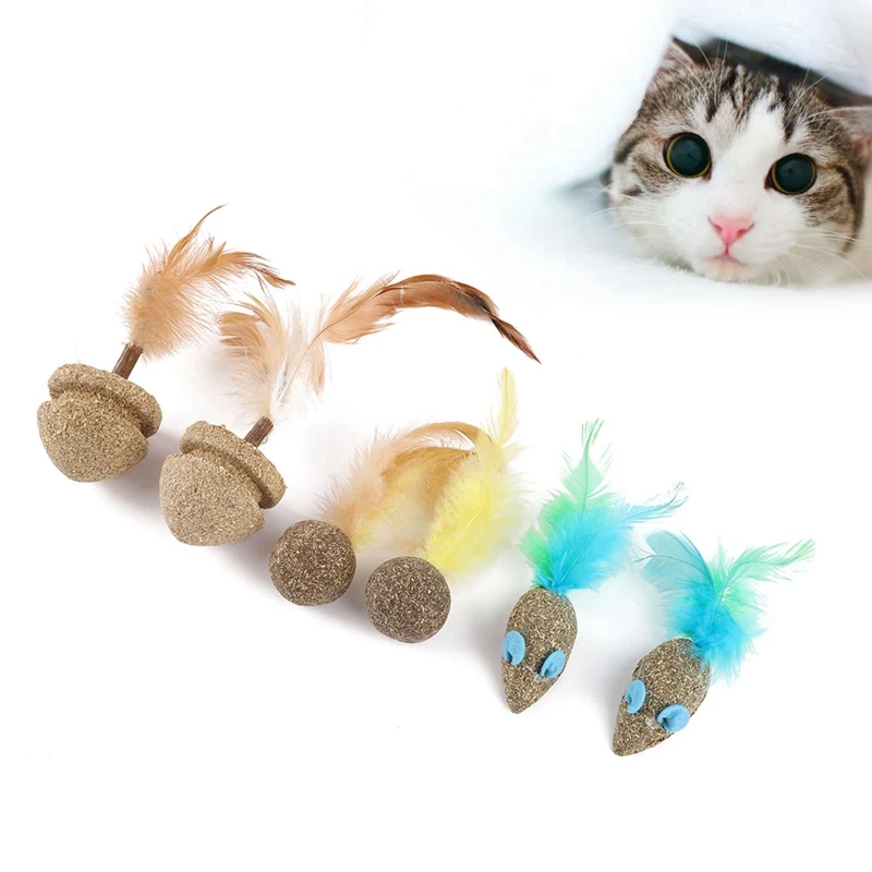 

Cat Feather Toy Natural Catnip Treat Ball Favor Chasing Pet Toys Healthy100% Safe Edible Treating Cats Play molar mouse Toy