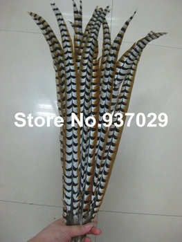 

10pcs Natural reeves' pheasant tail feather 60-70cm Pheasant chicken tail feather for Performance