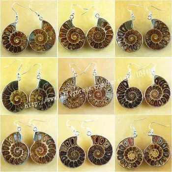 

10 Pairs/Lot Mixed Metal Wrapped Natural Ammonite Fossil stone Earrings Bead Bulk Wholesale