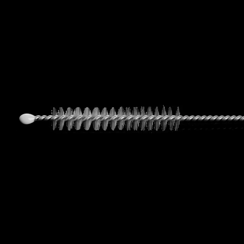 2S50456-6