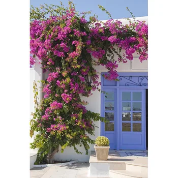 

free shipping Thin vinyl background Printed Photography flowers natural Scenery photography backdrops 5X7ft F-2122