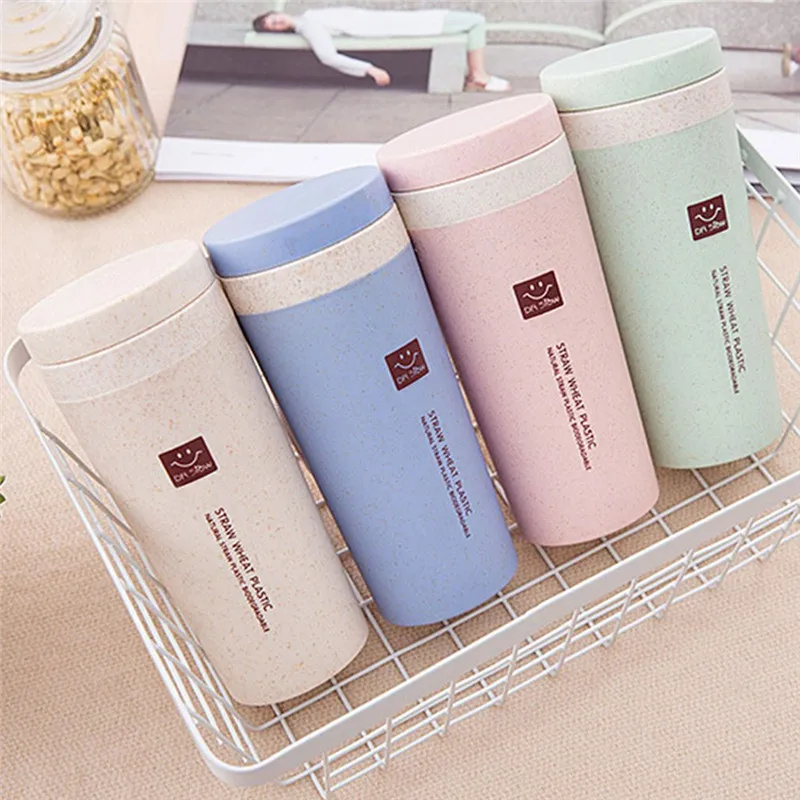 

Double-layer Heat Insulation Bottles Wheat Straw Water Bottle Leak Proof Hiking Tour Outdoor Environmental Drinkware
