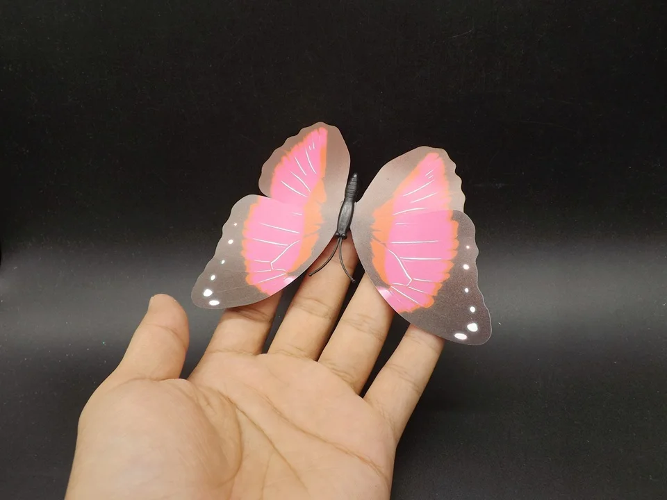 I235-Butterfly (3)