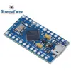 Pro Micro ATmega32U4 5 V 16 MHz reemplazar ATmega328 para Arduino Pro Mini con 2 pines de cabeza para Leonardo interfaz Mini Usb ► Foto 2/6