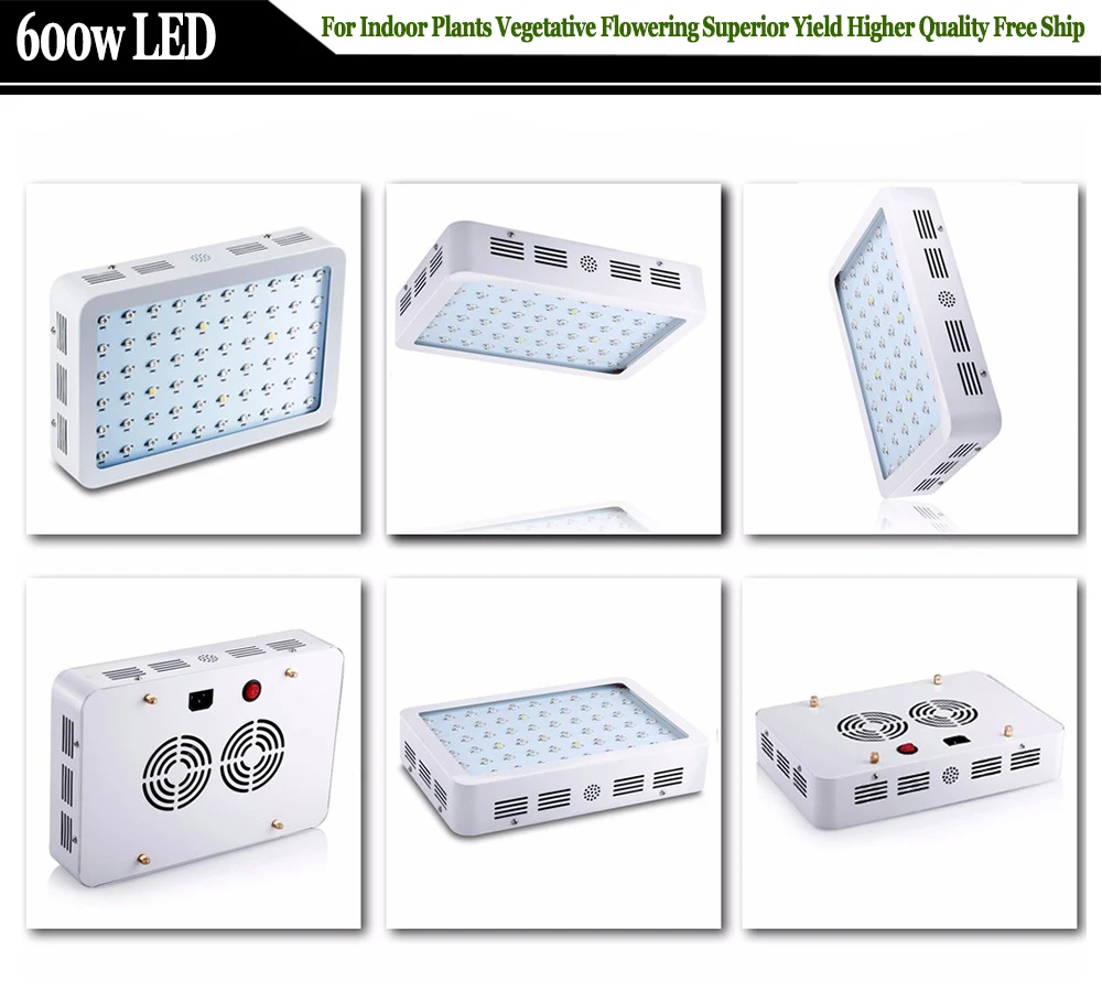 600W