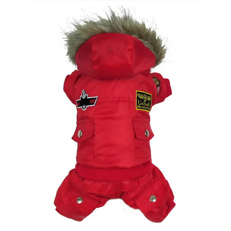 dog winter clothes