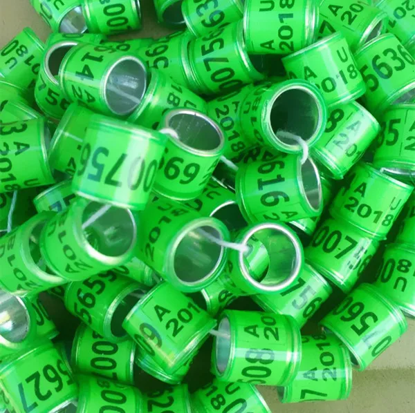 2018-AU-Green-bird-rings-pigeon-ring.jpg_640x640