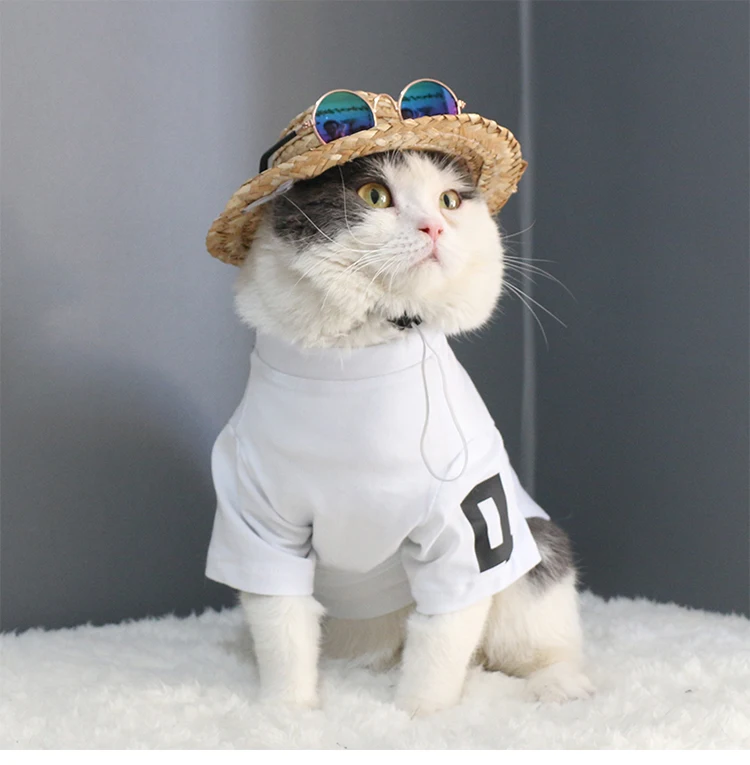 cat eye sunglasses