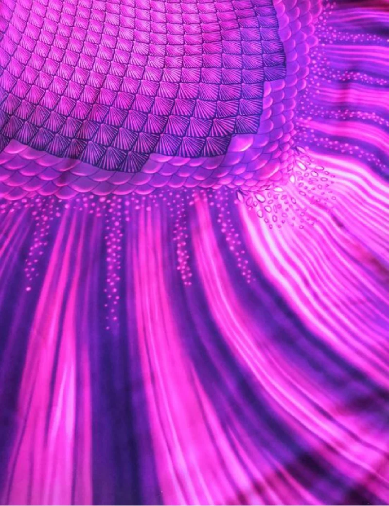 O1CN012KmOIwYut2LFJda_!!0-rate