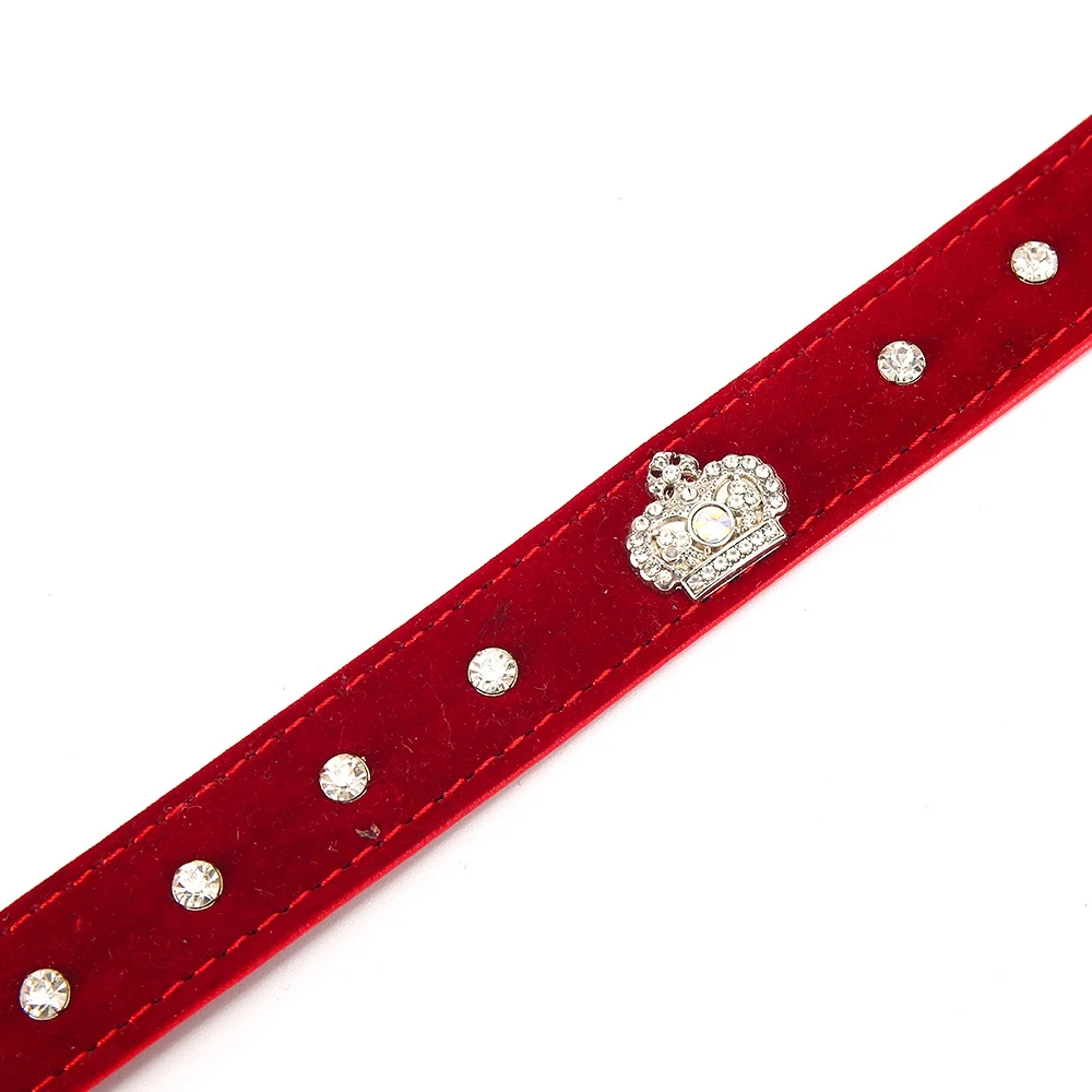 Pet Products Dog Collar For Dogs Small Cat Dog Collar Lead Harness Leash Puppy Solid  Cats Collars Chihuahua Supplies Accessories PQ013 (5)