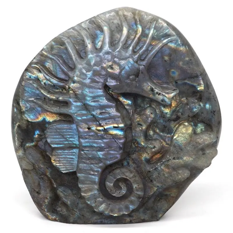 

Seahorse Figurine Natural Labradorite Stone Crystal Healing Reiki Home Decor 4.6