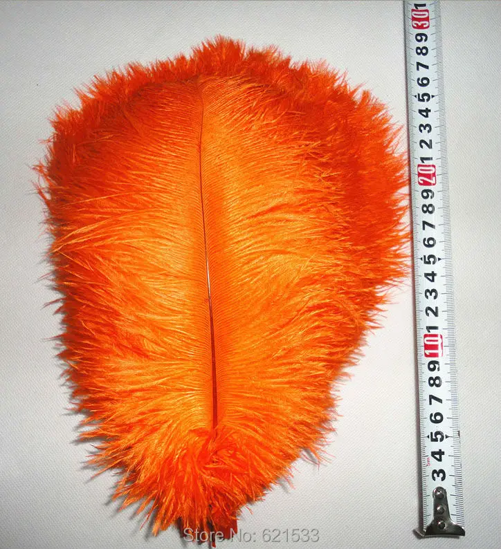 FO072 (1)