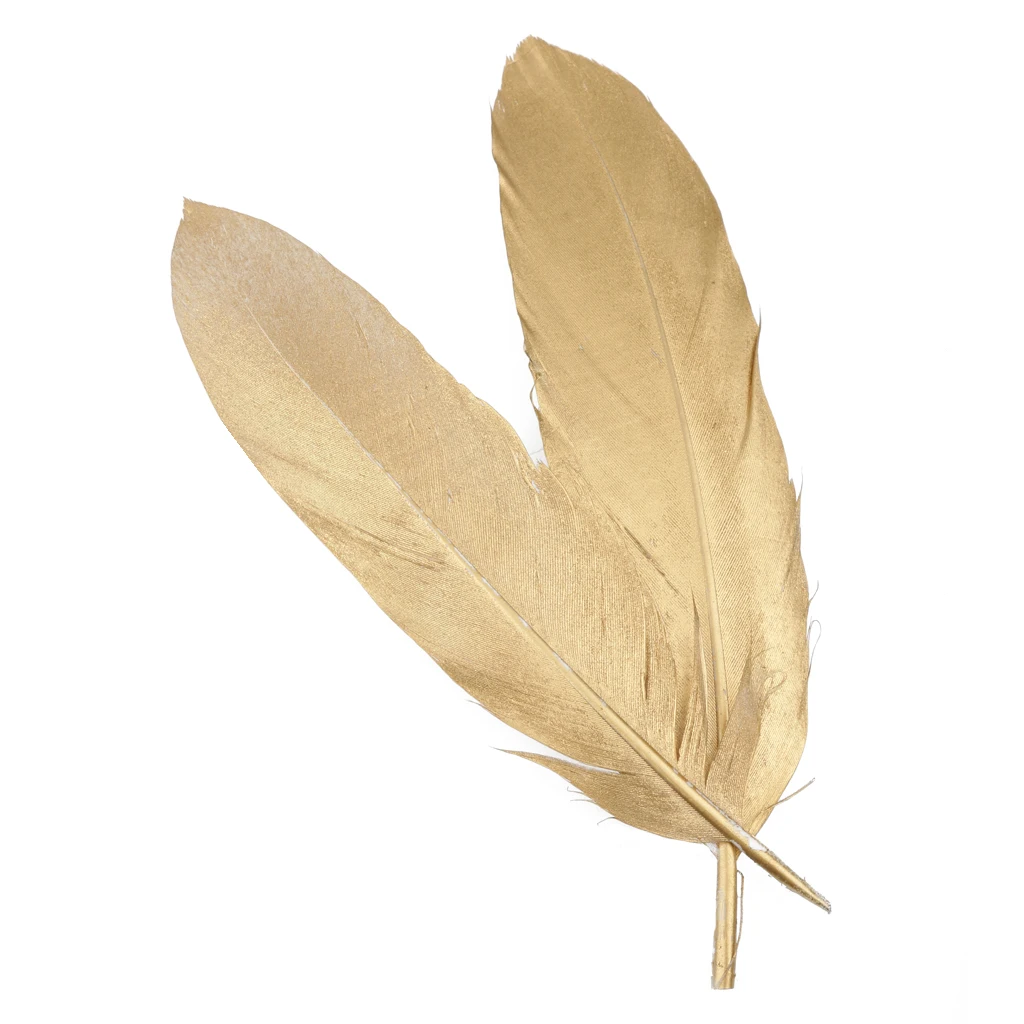 fityle 24pcs Natural Goose Feather for DIY Crafts Hat Making Paty Decoration 15-20cm White and Gold