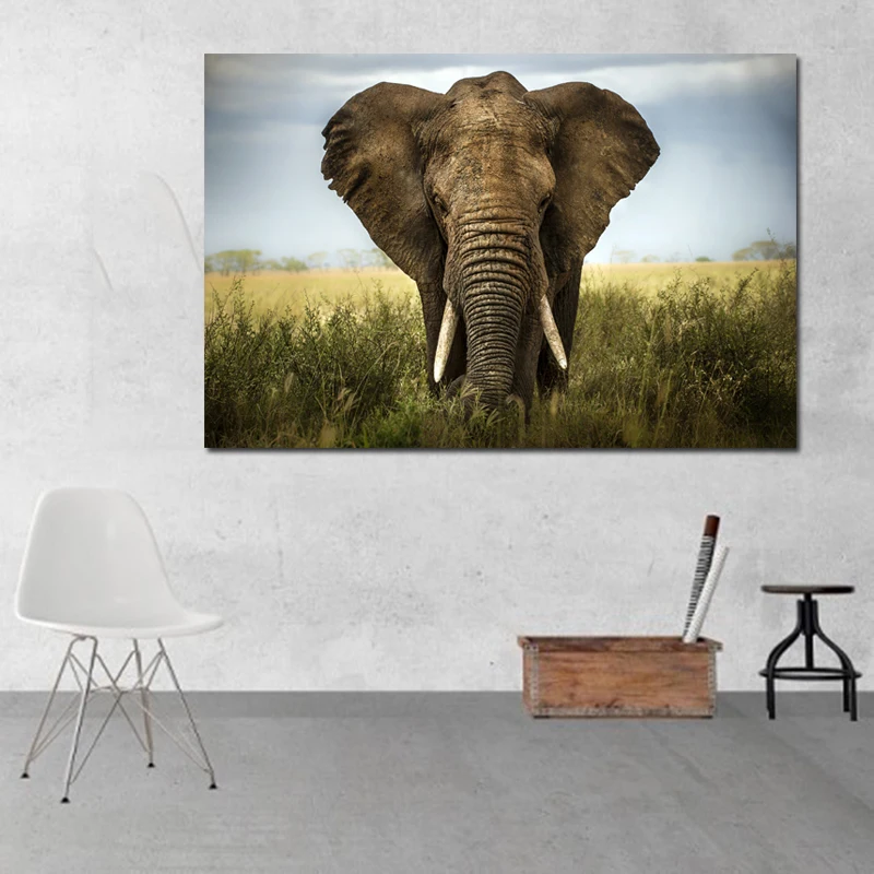 Home Wall Decor Art Animal African Elephants Oil Painting HD Printed On Canvas