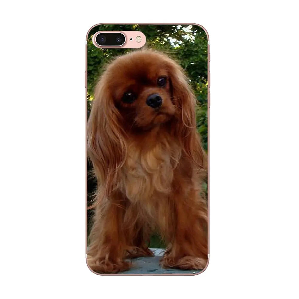 Щенки Bixedx Cavalier King Charles Spaniel для Huawei G7 Y6 II Y7 Xiaomi Redmi Note 2 3 5 Mi 4 4C 4I 5S 5X 6X