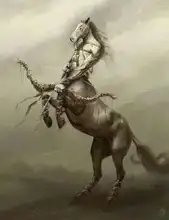 A***i