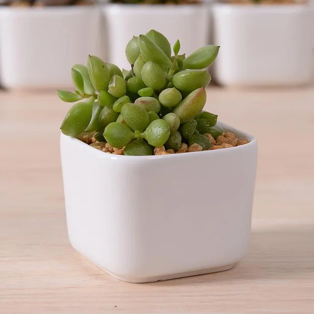 Garden Suppiles Small White Glazed Ceramic Flower Pots Rectangular Garden Suppiles Small White Glazed Ceramic Flower Pots Rectangular Pottery Planters Desktop Decor Bonsai For