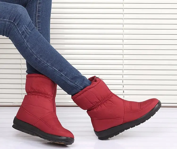 2563556065_1621013569