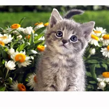 Мандала на заказ Алмазная картина Полная площадь/круглый мультфильм Кот пейзаж eigen foto Алмазная вышивка аксессуары eid box ima